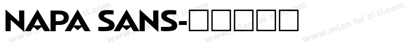 NAPA SANS字体转换